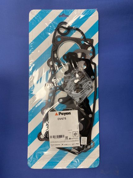 GUARNIZIONE PAYEN FIAT CINQUECENTO 1.1 PALIO 1.2 PANDA 1000 PUNTO 1.2 UNO 1.1 Y10 1.0